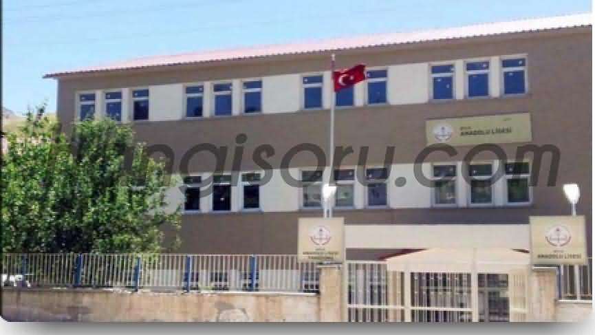 Bitlis Anadolu Lisesi