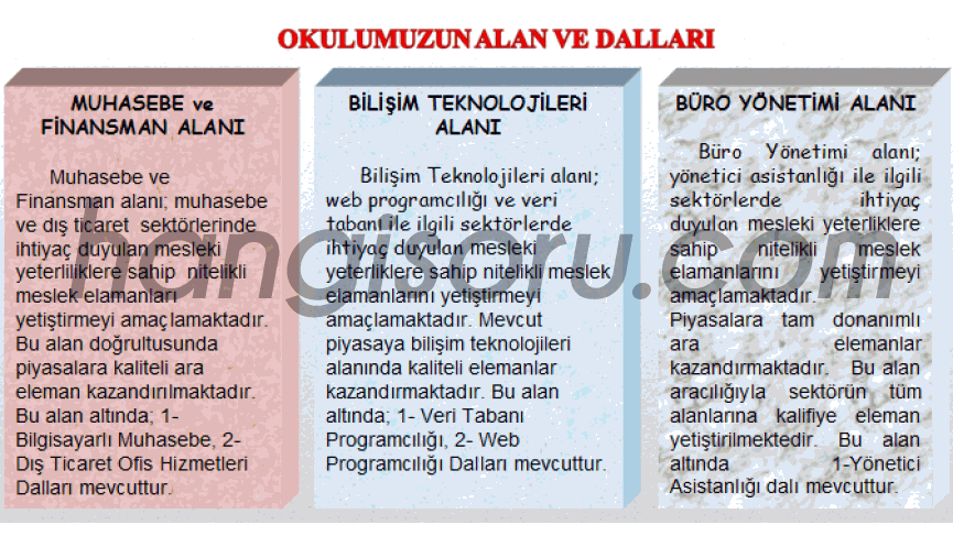 Kartaltepe Çok Programlı Anadolu Lisesi