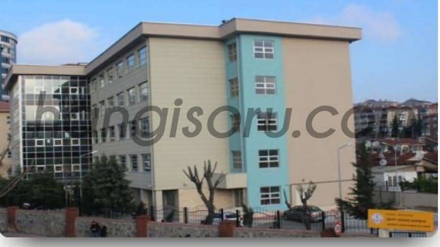 Şehit Cengiz Sarıbaş Anadolu Lisesi
