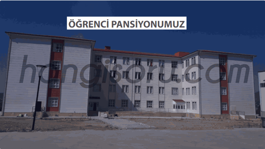 Soma Borsa İstanbul Fen Lisesi